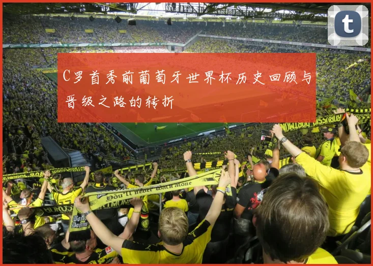 C罗首秀前葡萄牙世界杯历史回顾与晋级之路的转折