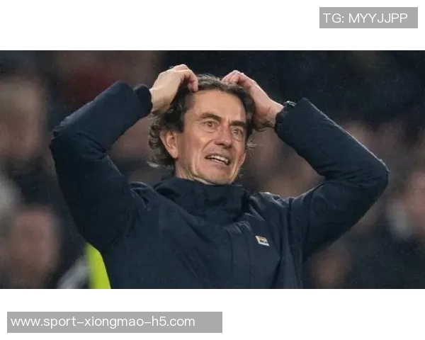 热刺认真评估买断帕利尼亚与弗兰克良好关系助力转会